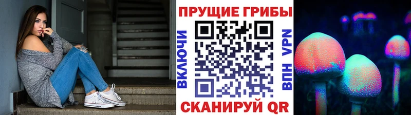 дарк нет как зайти  Смоленск  Галлюциногенные грибы мухоморы  hydra ссылка 