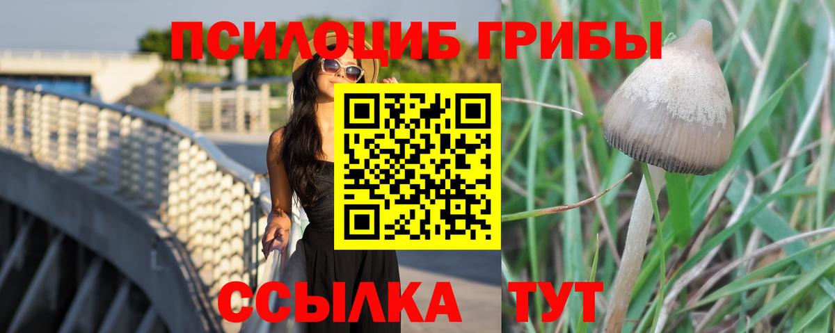 Смоленск  Галлюциногенные грибы мухоморы  наркошоп  Вход с VPN 